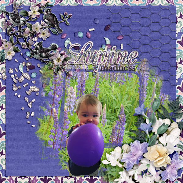 Lupine-madness
