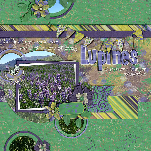 Lupines
