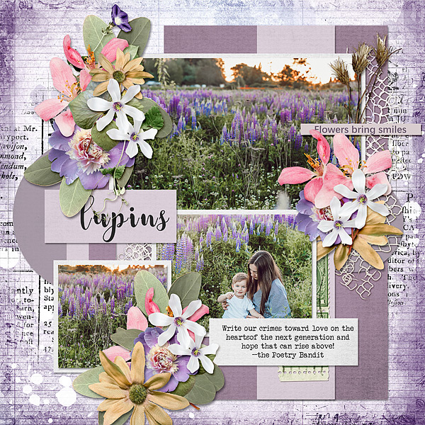 Lupins