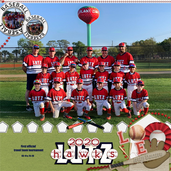 Lutz Hawks 2020