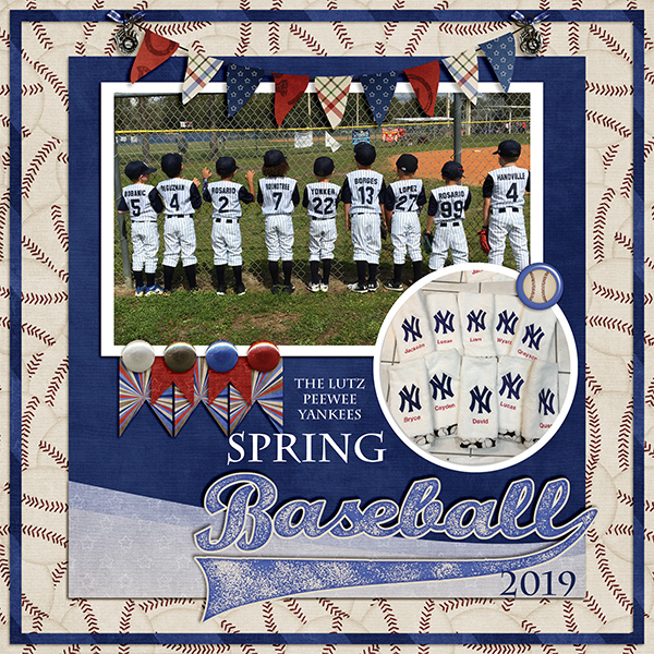 Lutz Spring PeeWee Baseball 2019