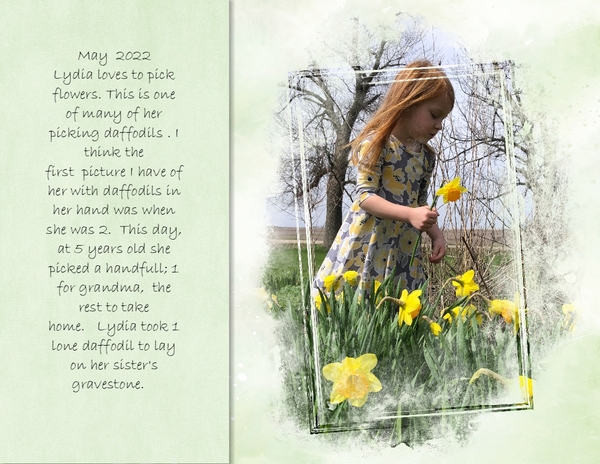 Lydia - Daffodils