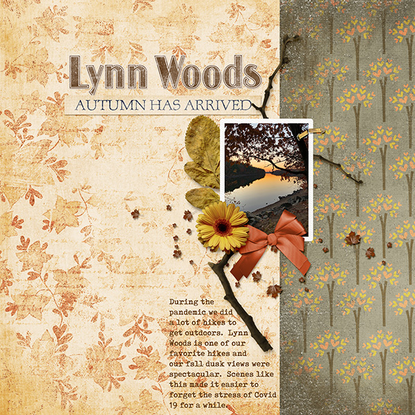 Lynn Woods 2020