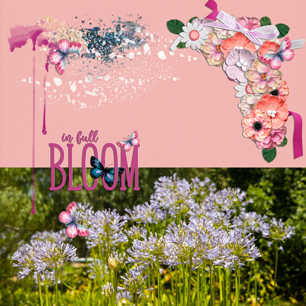 Lyn's Garden