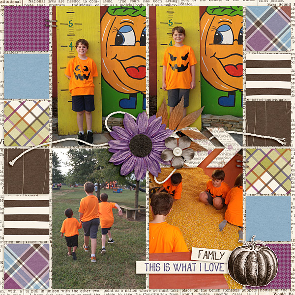 Lyons Farm 2016