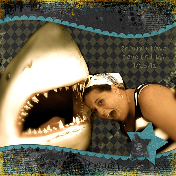 MA-shark-attack-small