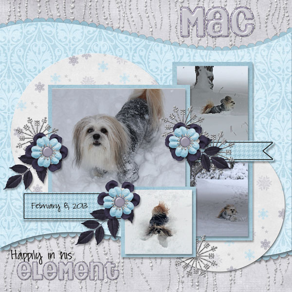 MAC - happily in his element