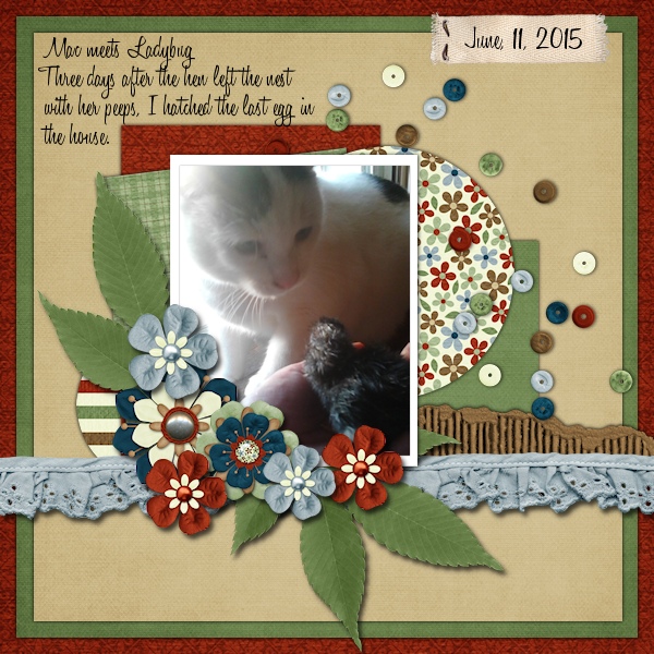 Mac + Ladybug