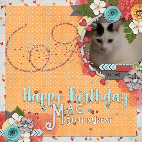 Mac turns 8 years old