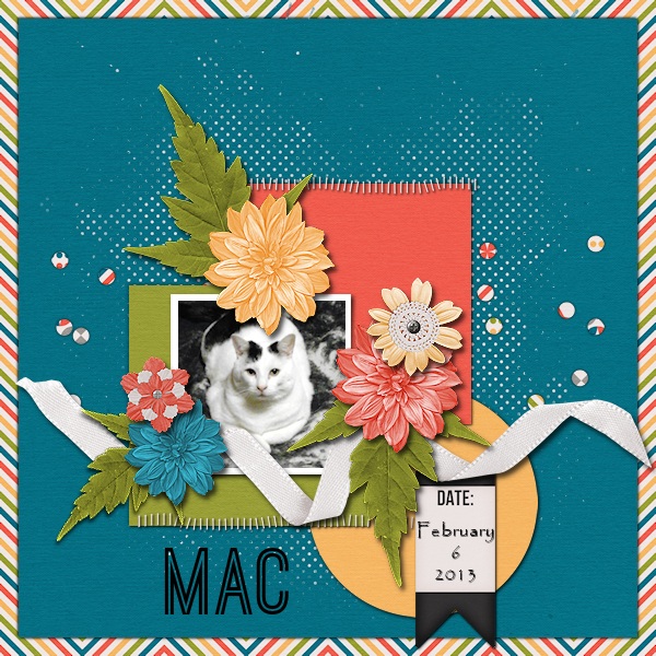 Mac