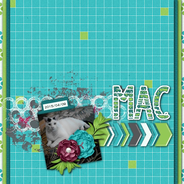 Mac
