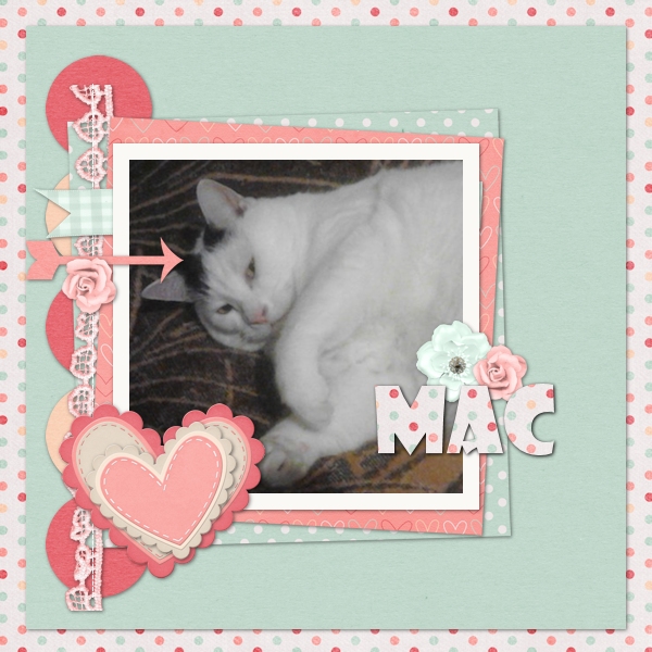 Mac