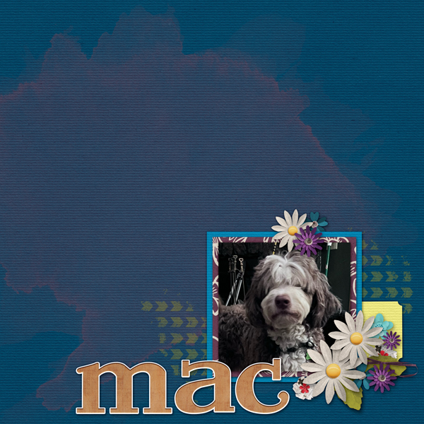 Mac