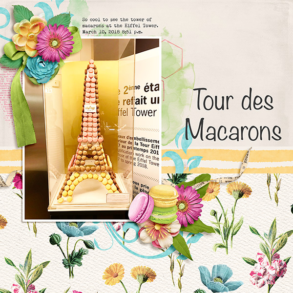 Macaron