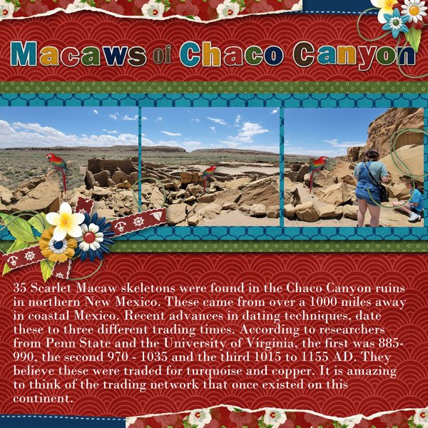 Macaws of Chaco Canyon