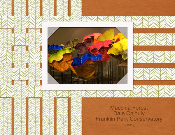 Macchia Forest