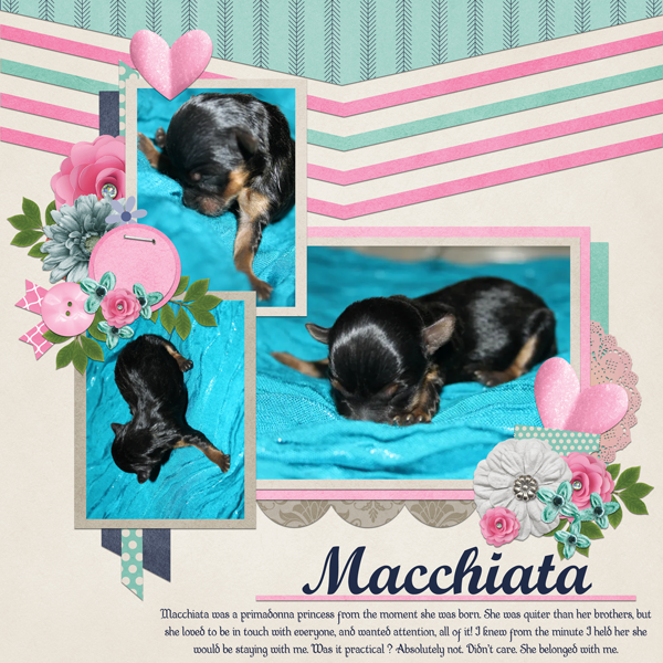 Macchiata