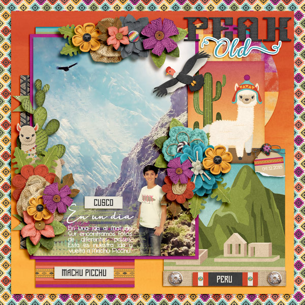 macchu picchu
