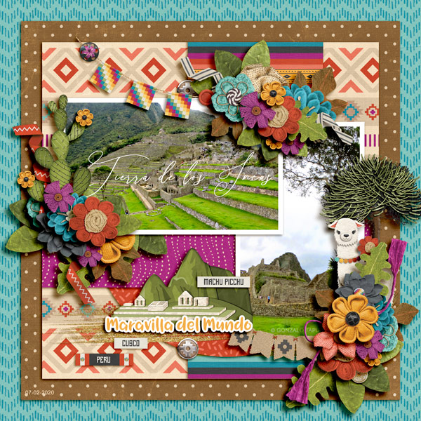 macchu picchu