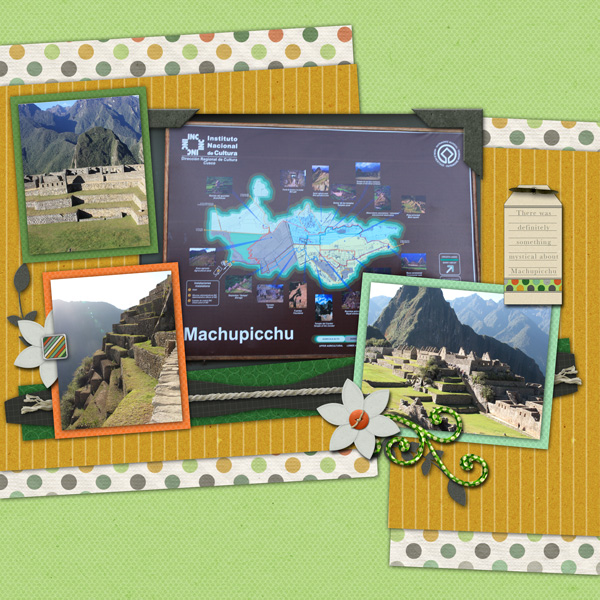 Machu Picchu 5