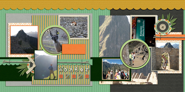 Machu Picchu 6