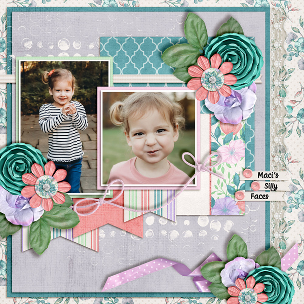 Maci_s-Silly-Faces