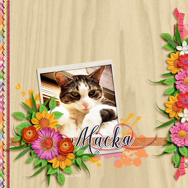 macka