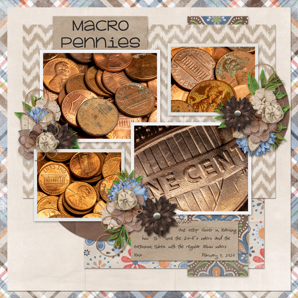 Macro Pennies