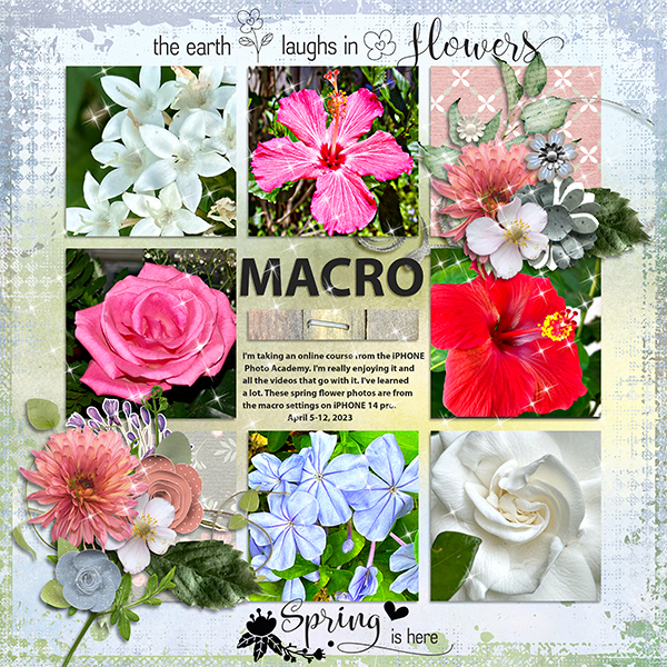 MACRO