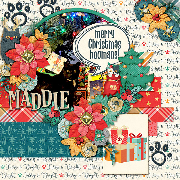maddie-mry-xmas-hooman