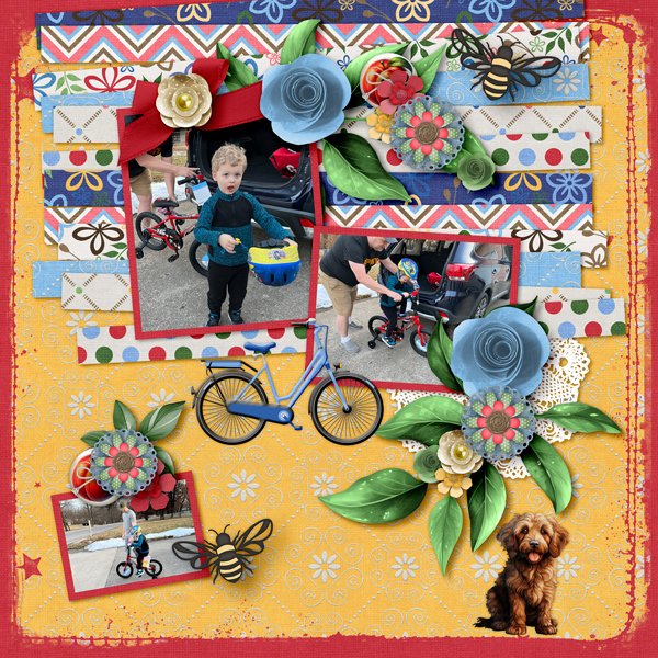 Maddux's-Bike-web.jpg
