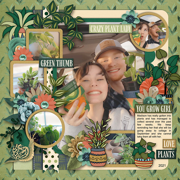 Maddy_s-Plants