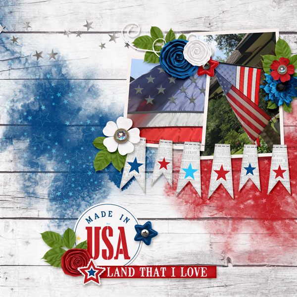 Made in the USA