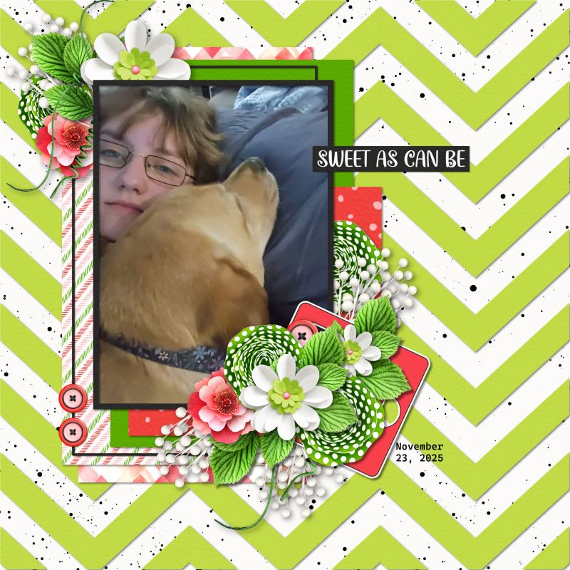 Madie's Sweet Girl