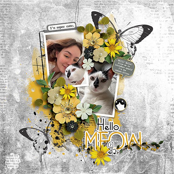Madison-and-her-Kitten.jpg