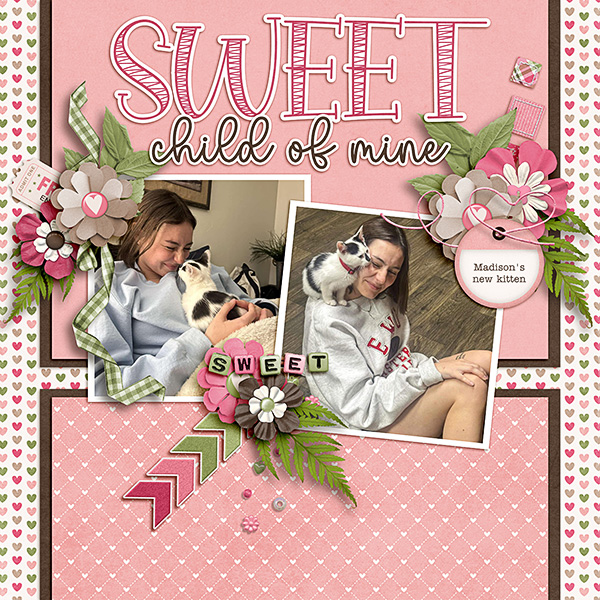 Madison-New-Kitten
