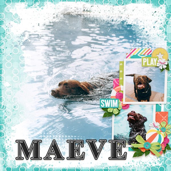 Maeve