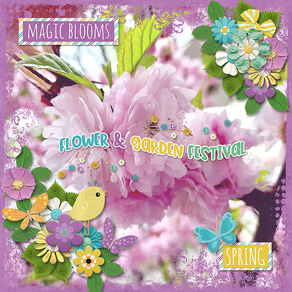 Magic Blooms