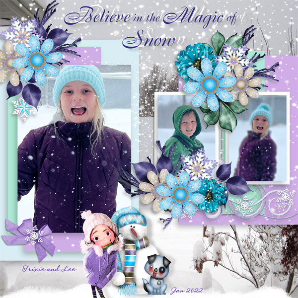Magic of Snow