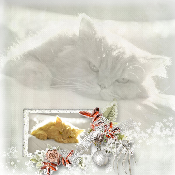 Magical christmas cat