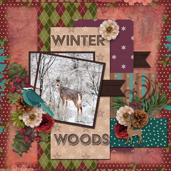 magical-christmas-woods-adr