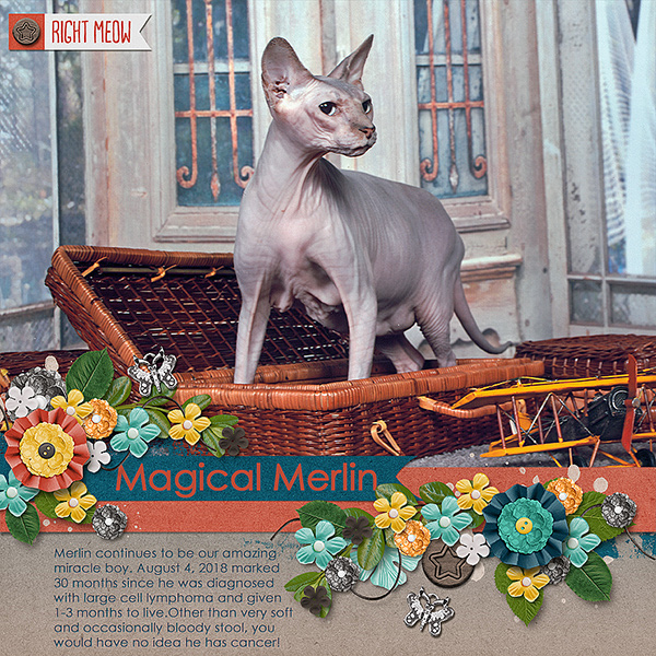 Magical Merlin