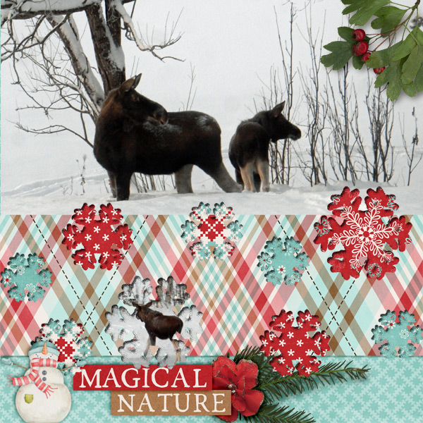 Magical-Nature