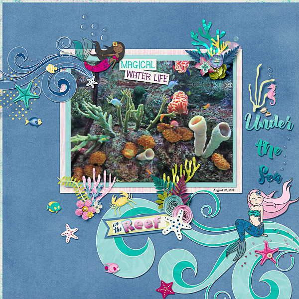 Magical Water Life on the Reef
