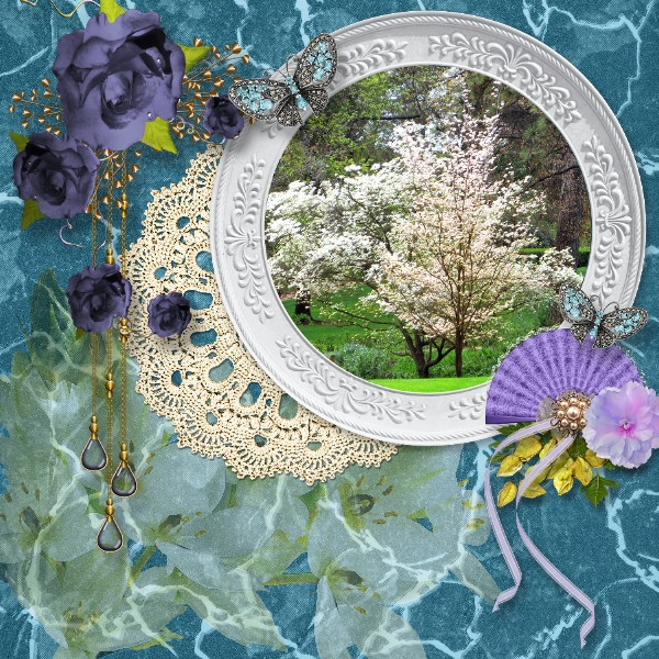 Magnificent Dogwood