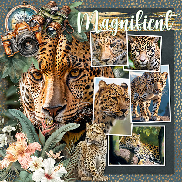 Magnificent