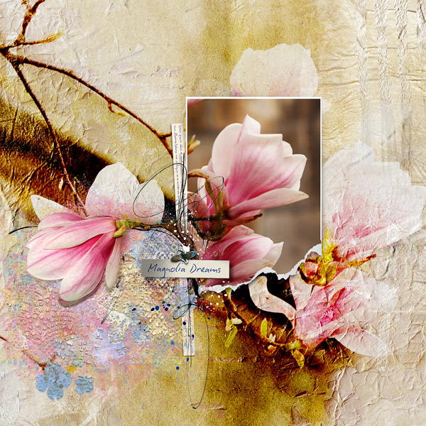 MAGNOLIA DREAMS