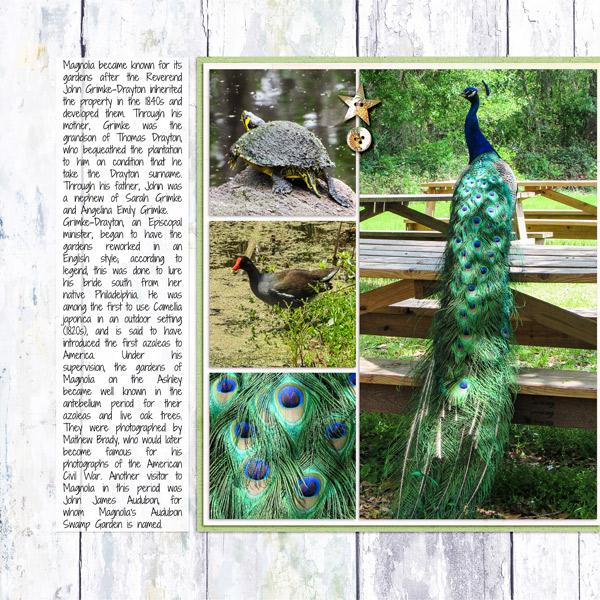 Magnolia Plantation 3, left