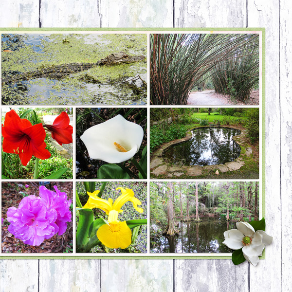 Magnolia Plantation 3, right