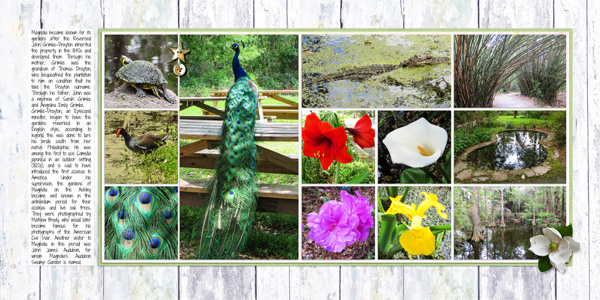 Magnolia Plantation 3